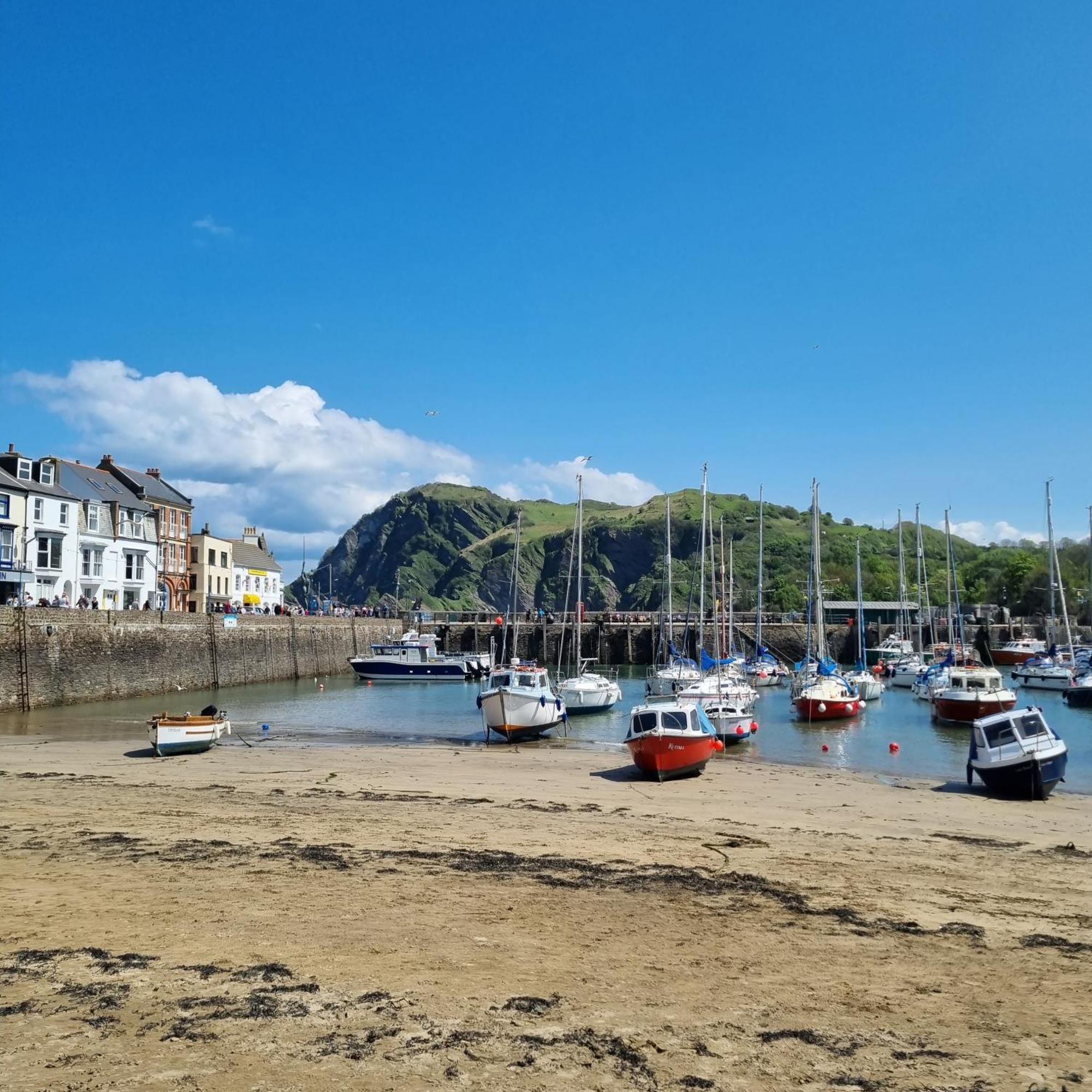 Kittiwake Apartamento Ilfracombe Exterior foto